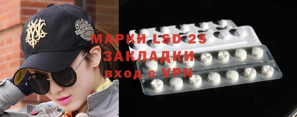 гашик Новодвинск