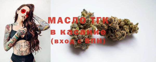 гашик Новодвинск