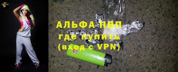 спиды Новозыбков