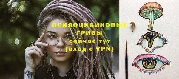 спиды Новозыбков