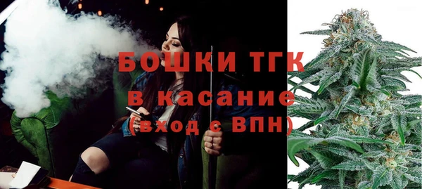 гашик Новодвинск