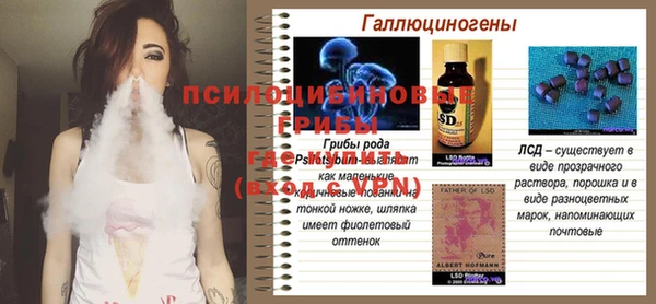гашик Новодвинск