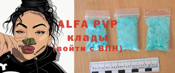 спиды Новозыбков
