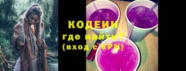 гашик Новодвинск