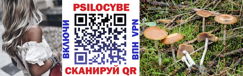 Псилоцибиновые грибы Magic Shrooms  Купить где  Пролетарск 
